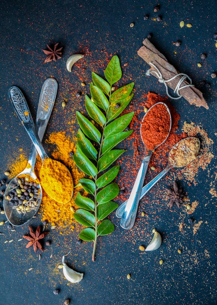 Colorful spices and herbs laid out artistically for a culinary theme.